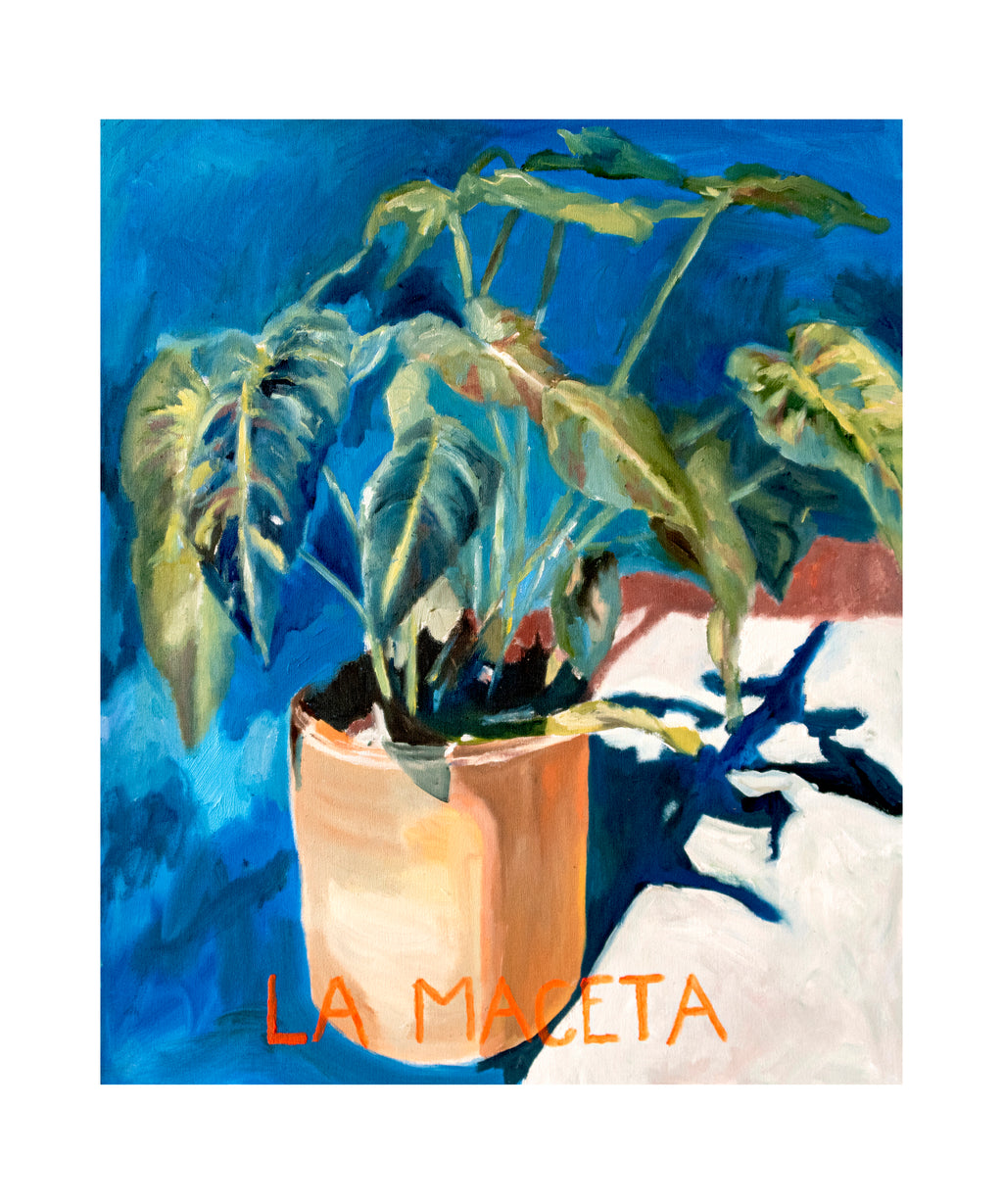 La maceta